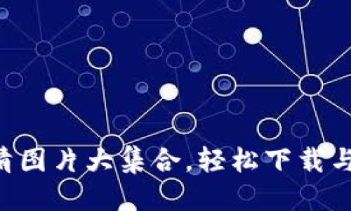 优质

最新TPWallet 高清图片大集合，轻松下载与使用你的数字资产