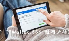 深入解析 TPWallet：BSC 链用户的理想选择