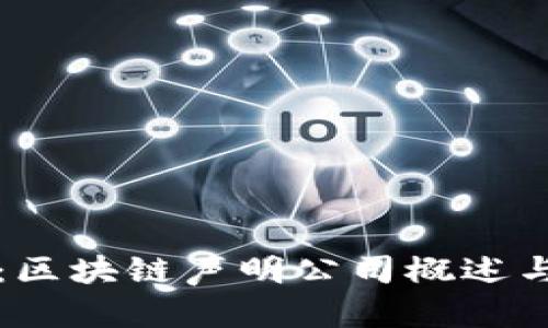 深入探讨：区块链声明公司概述与行业前景