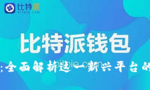 元宝区块链：全面解析这一新兴平台的机遇与挑战