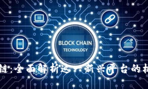 元宝区块链：全面解析这一新兴平台的机遇与挑战
