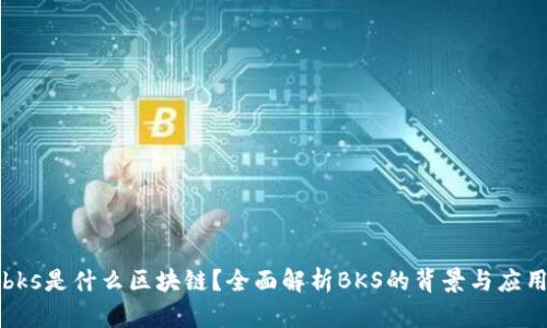 bks是什么区块链？全面解析BKS的背景与应用