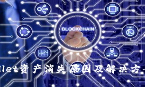 TPWallet资产消失原因及解决方案揭秘