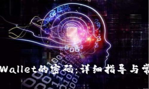 如何修改TPWallet的密码：详细指导与常见问题解答